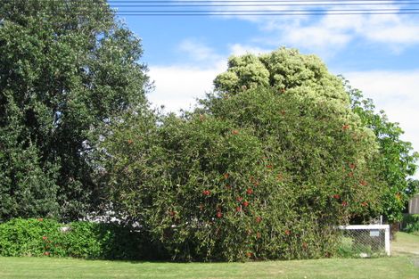 Photo of property in 17 Waverley Street, Elgin, Gisborne, 4010