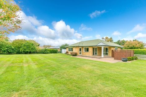 Photo of property in 12 Shadbolt Drive, Leamington, Cambridge, 3432