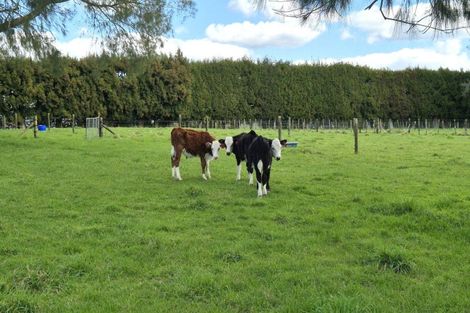 Photo of property in 1128a Omanawa Road, Omanawa, 3171