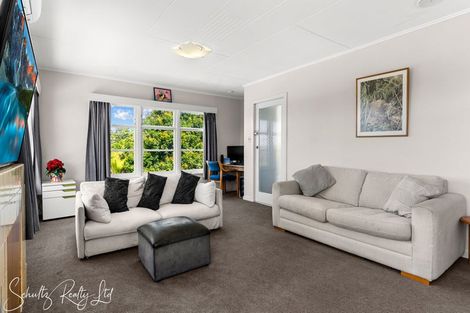 Photo of property in 20 Bickerstaffe Road, Maungaturoto, 0520