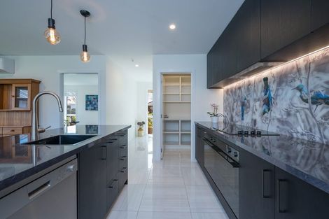 Photo of property in 24 Oakdale Grove, Richmond, 7020