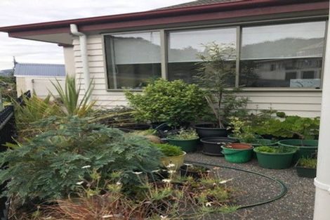 Photo of property in 65 Royal Terrace, Dunedin Central, Dunedin, 9016