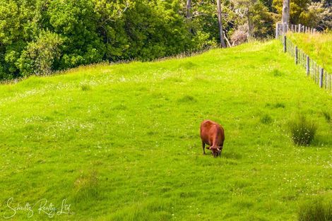 Photo of property in 1713 State Highway 12, Paparoa, 0571