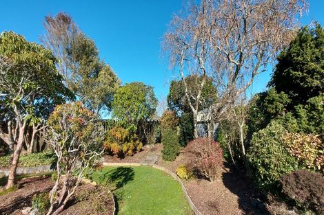 Photo of property in 51 Celia Street, Stratford, 4332