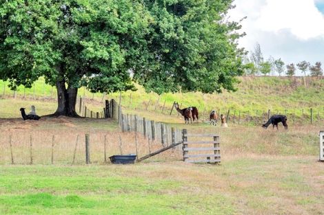Photo of property in 6 Fletcher Road, Waimauku, 0881
