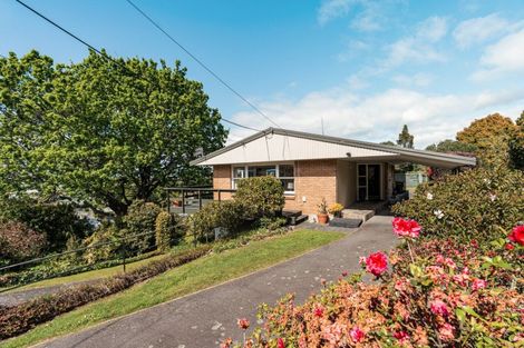 Photo of property in 53 Darraghs Road, Brookfield, Tauranga, 3110