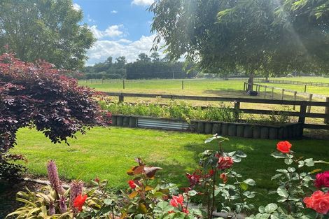 Photo of property in 97 Horrell Road, Morrinsville, 3374