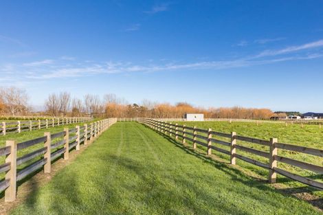 Photo of property in 88 Mahua Road, Feilding, 4777