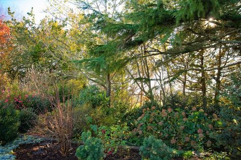 Photo of property in 166 Okoroire Road, Tirau, 3485