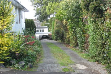 Photo of property in 19 Bruce Street, Roslyn, Dunedin, 9011