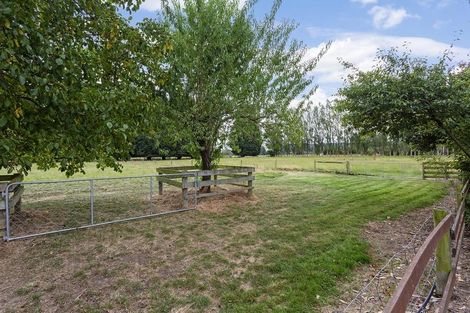 Photo of property in 41 Hazlett Road, Mosgiel, 9092