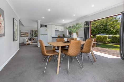 Photo of property in 461 Tararua Road, Levin, 5571