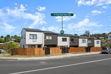 Photo of property in 111 Trias Road, Totara Vale, Auckland, 0629