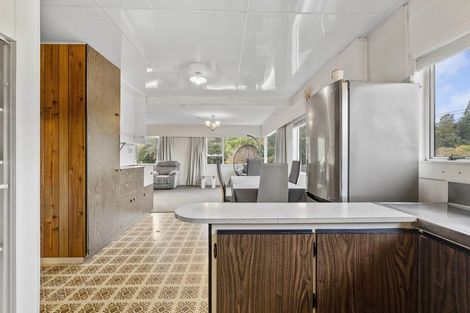 Photo of property in 31 Elizabeth Place, Ferndale, New Plymouth, 4310