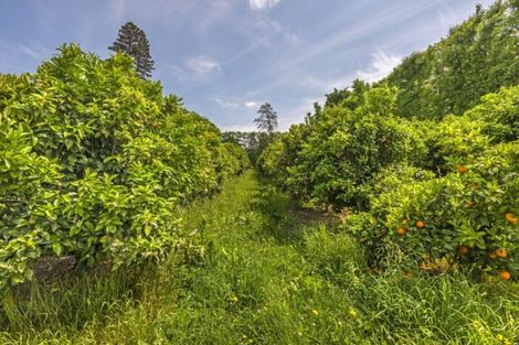 Photo of property in 29 Taurau Valley Road, Manutuke, 4072