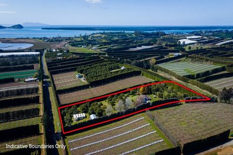 Photo of property in 210 Tuapiro Road, Tahawai, Katikati, 3170