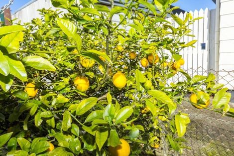 Photo of property in 35 Marion Street, Silverstream, Upper Hutt, 5019