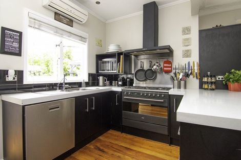 Photo of property in 57 Limbrick Street, Terrace End, Palmerston North, 4410