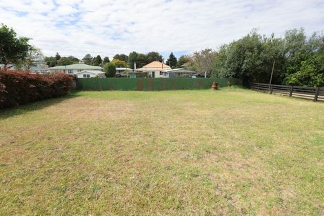 Photo of property in 200 Hakanoa Street, Huntly, 3700