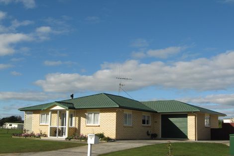 Photo of property in 11 Dunallen Avenue, Marton, 4710