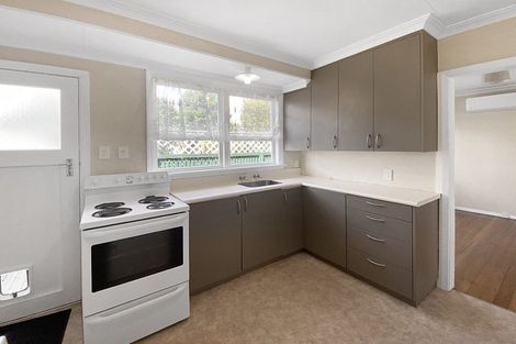 Photo of property in 458 Ruahine Street, Terrace End, Palmerston North, 4410