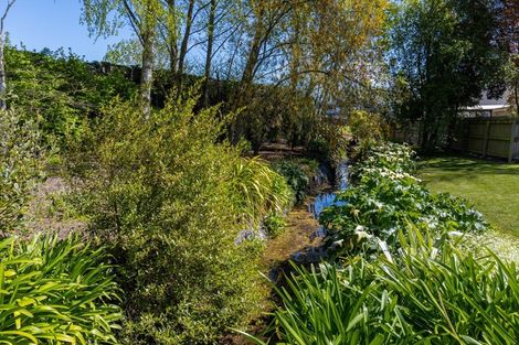 Photo of property in 8 Severne Street, Springlands, Blenheim, 7201