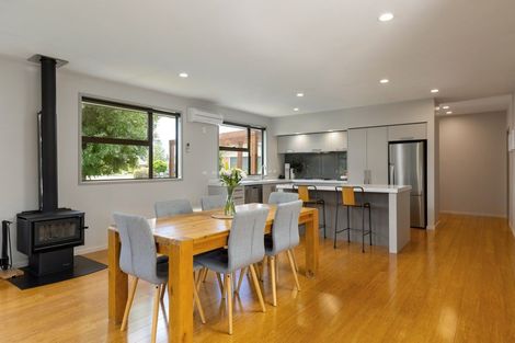 Photo of property in 17 Hilton Place, Blenheim, 7201