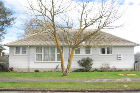 Photo of property in 25 Douglas Crescent, Fairfield, Hamilton, 3214