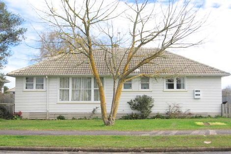 Photo of property in 25 Douglas Crescent, Fairfield, Hamilton, 3214