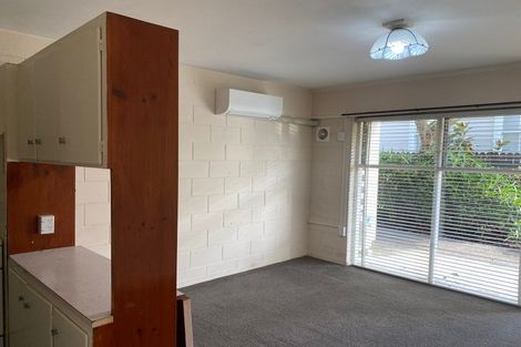 Photo of property in 9 Esplanade Road, Mount Eden, Auckland, 1024