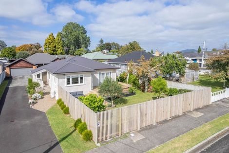 Photo of property in 488 Mandeno Street, Te Awamutu, 3800