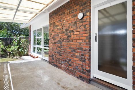 Photo of property in 1/20 Domett Avenue, Epsom, Auckland, 1023