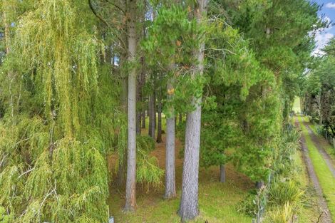 Photo of property in 161 Ward Road, Cheviot, 7381