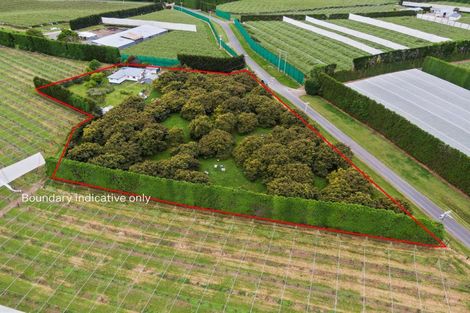 Photo of property in 348 Manoeka Road, Te Puke, 3183
