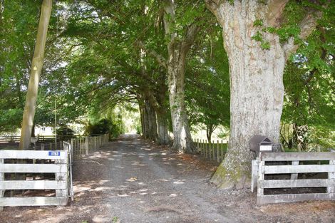 Photo of property in 1783 Lake Road, Frasertown, Wairoa, 4195