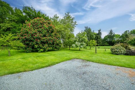 Photo of property in 278 Talbot Street, Geraldine, 7930