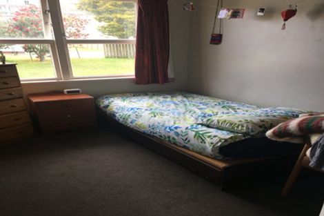 Photo of property in 91 Aurora Terrace, Hillcrest, Hamilton, 3216