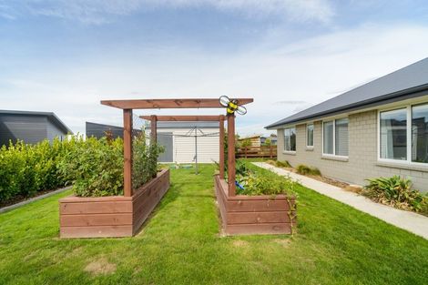 Photo of property in 60 Wapiti Avenue, Feilding, 4775