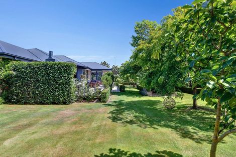 Photo of property in 75 Willowside Place, Amberley, 7410