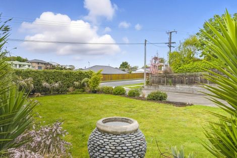 Photo of property in 29 Kawiu Road, Levin, 5510