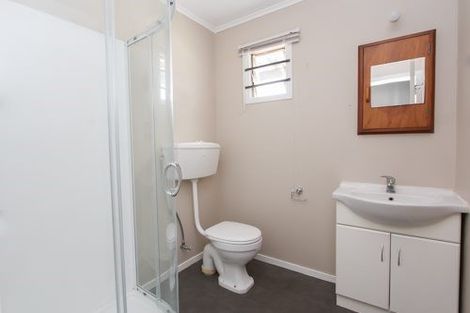 Photo of property in 209 Galloway Street, Hamilton East, Hamilton, 3216