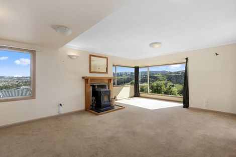 Photo of property in 197 Signal Hill Road, Opoho, Dunedin, 9010