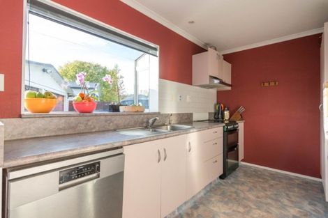 Photo of property in 17 Saturn Crescent, Milson, Palmerston North, 4414