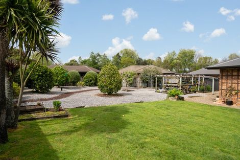 Photo of property in 8 Grace Avenue, Leamington, Cambridge, 3432