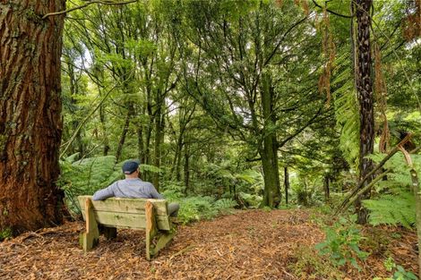 Photo of property in 217 Soldiers Road, Lower Kaimai, Tauranga, 3171