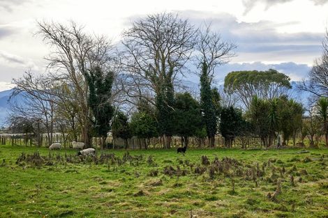 Photo of property in 9 Grays Lane, Kaikoura, 7300