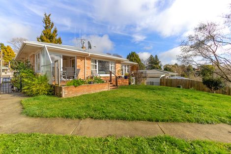 Photo of property in 9 Norrie Place, Putaruru, 3411