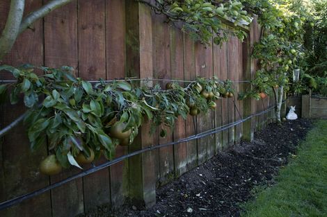 Photo of property in 9 Woburn Place, Nukuhau, Taupo, 3330