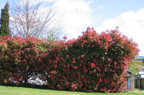 Photo of property in 2/133 Elizabeth Street, Tauhara, Taupo, 3330