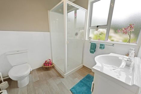 Photo of property in 96 Middle Street, Pukerau, Gore, 9772